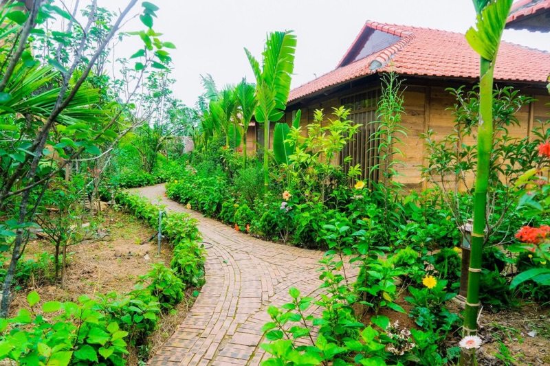 Tại homestay Sơn Tây, du khách có thể hòa mình vào thiên nhiên xanh mát
