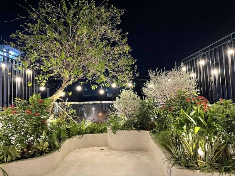 Khu vườn nhỏ trên sân thượng kết hợp ánh sáng đèn lung linh vào buổi tối
