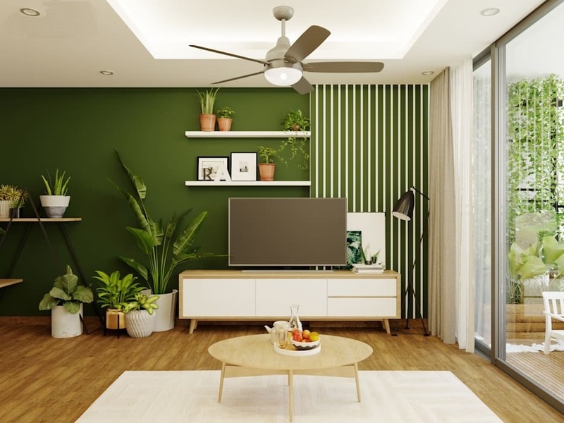 Không gian phòng khách màu xanh được bố trí rất nhiều chậu cảnh kết hợp với ô cửa kính lớn đón ánh sáng tự nhiên